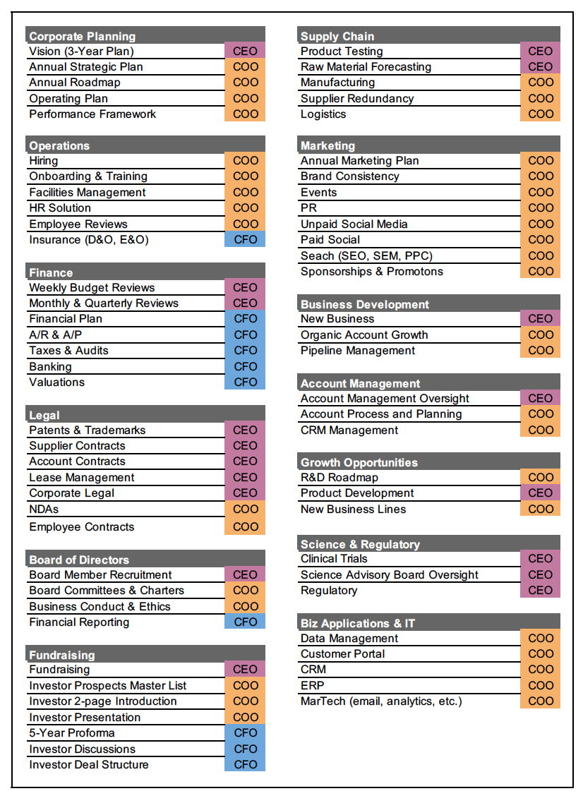 CEO COO Responsibilities Matrix